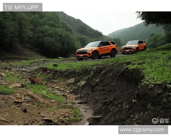 深圳攀岩队反击赛季回顾：挑战与成长的双重考验